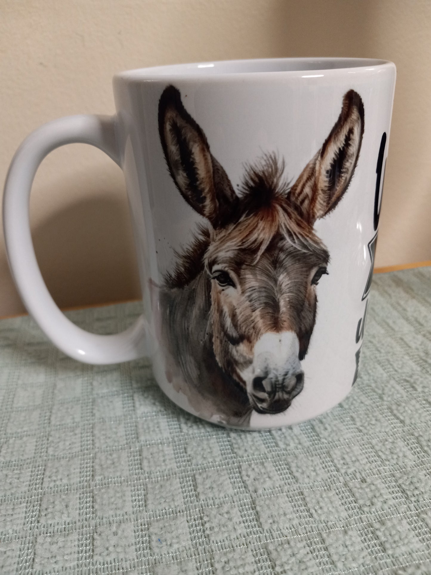 BE AN ASS 15oz Ceramic Mug