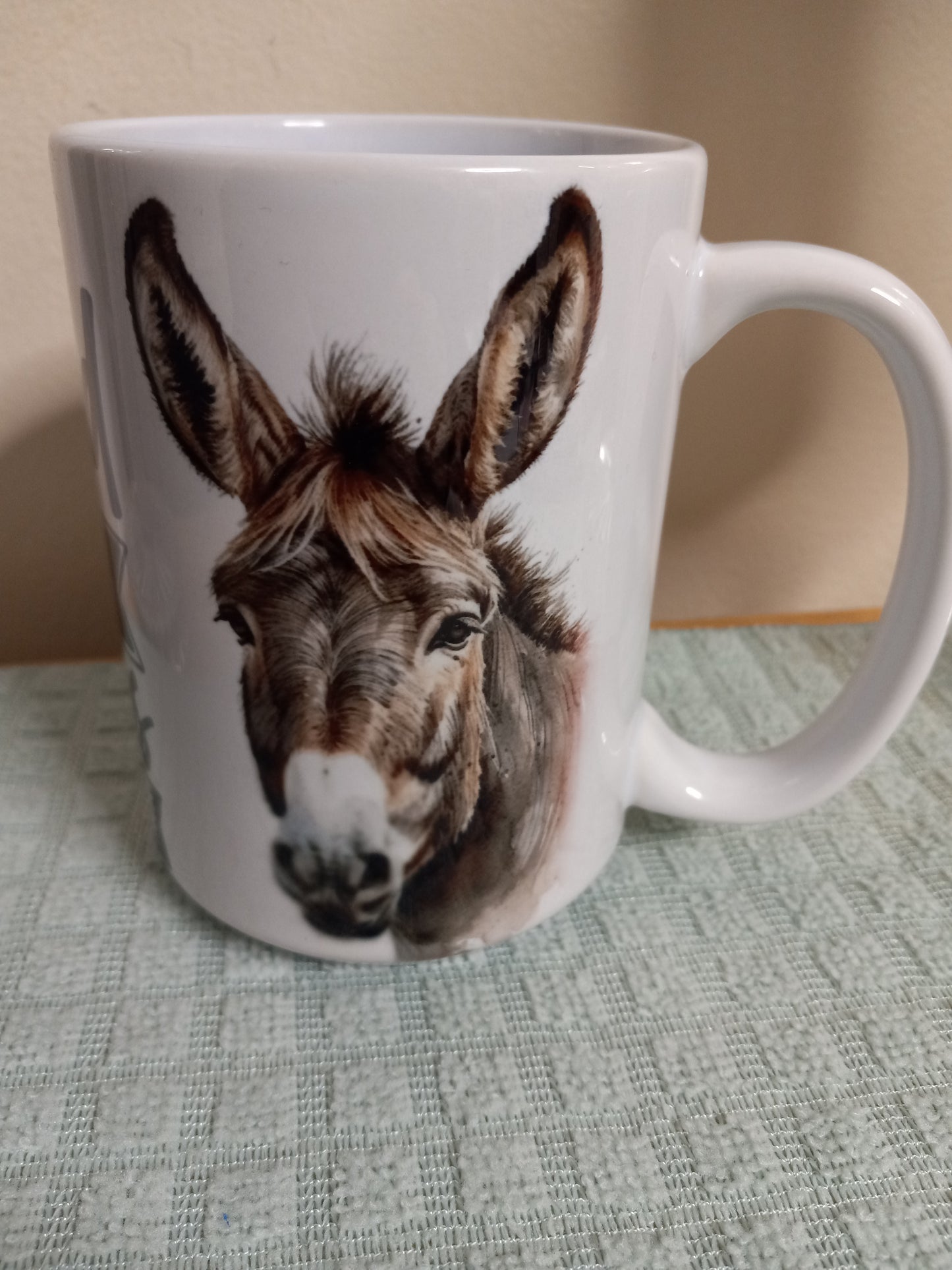 BE AN ASS 15oz Ceramic Mug